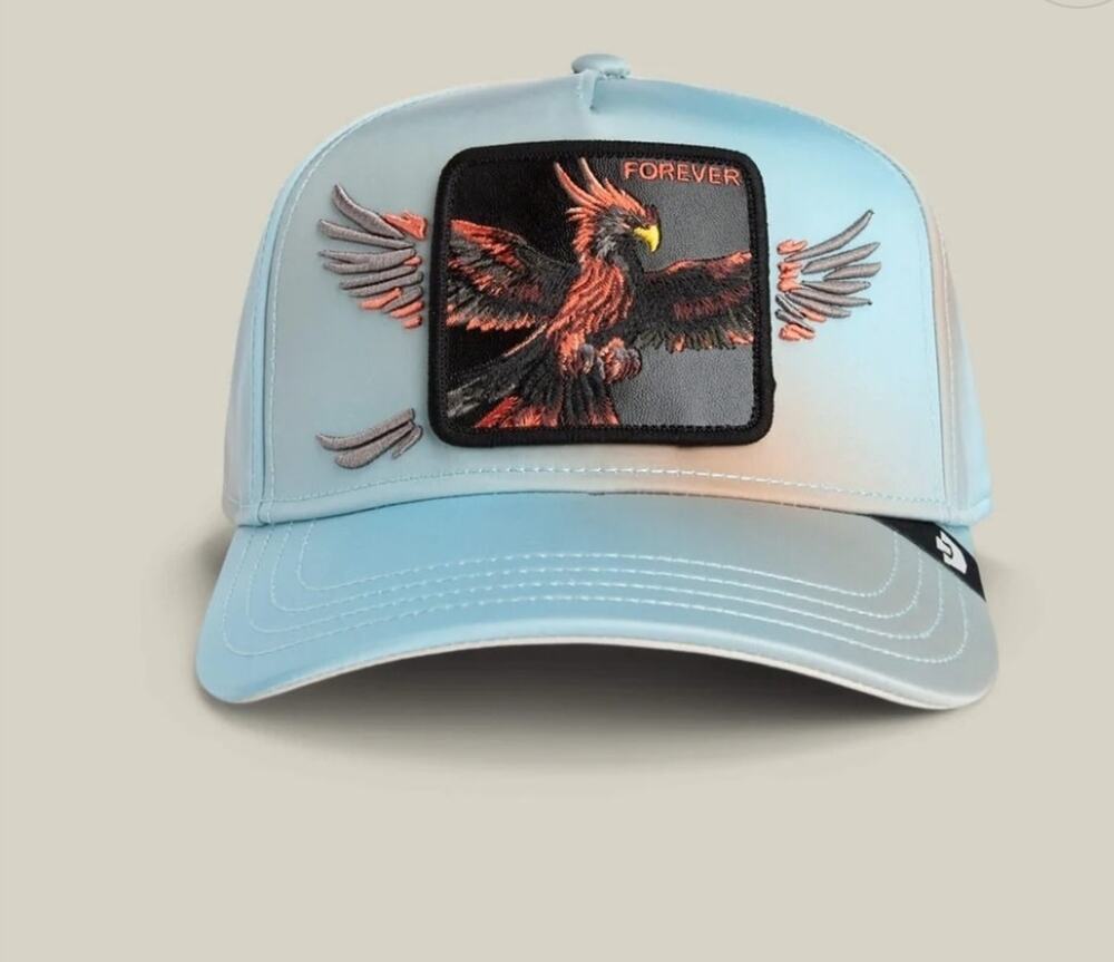 Goorin Bros Never Stop Never Stopping Forever Phoenix Hat NWT Limited Edition